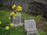 image of grave number 807548